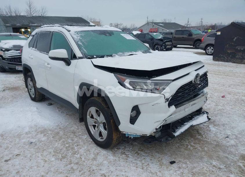 2019 Toyota Rav4 XLE (VIN 2T3P1RFV3KW024536) main photo