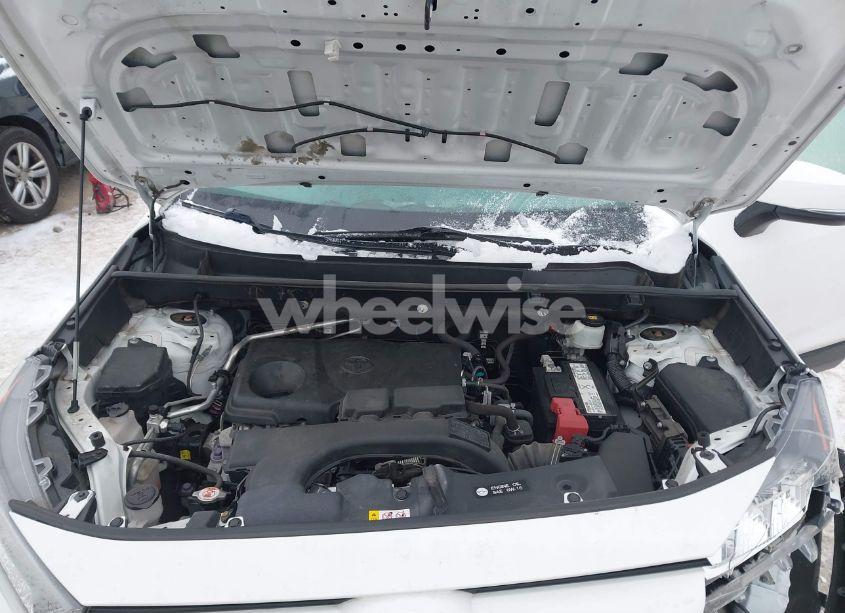 Photo 10 of 2019 Toyota Rav4 XLE (VIN 2T3P1RFV3KW024536)