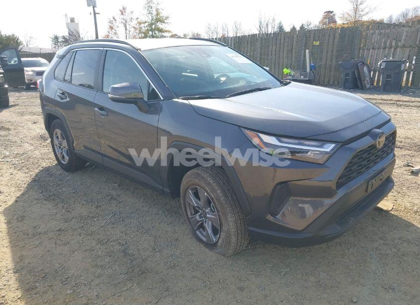 2024 Toyota Rav4 XLE (VIN 2T3P1RFV3RW467411) main photo