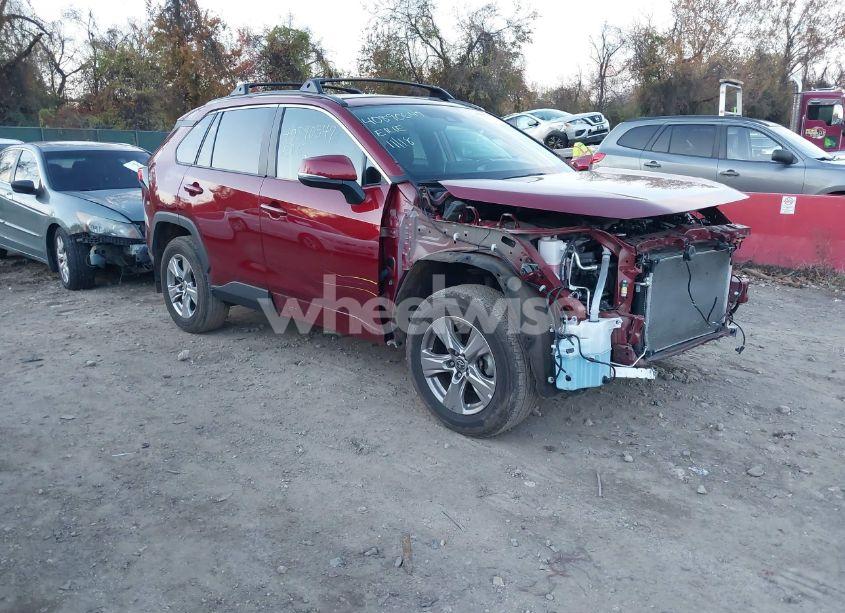 2023 Toyota Rav4 XLE (VIN 2T3P1RFV4PW342303) main photo