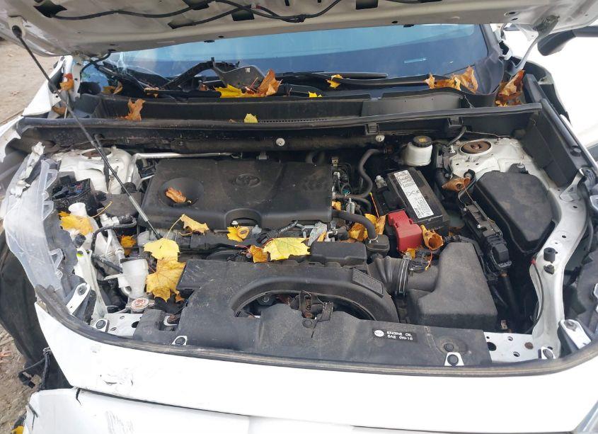 Photo 10 of 2019 Toyota Rav4 XLE (VIN 2T3P1RFV5KC040917)