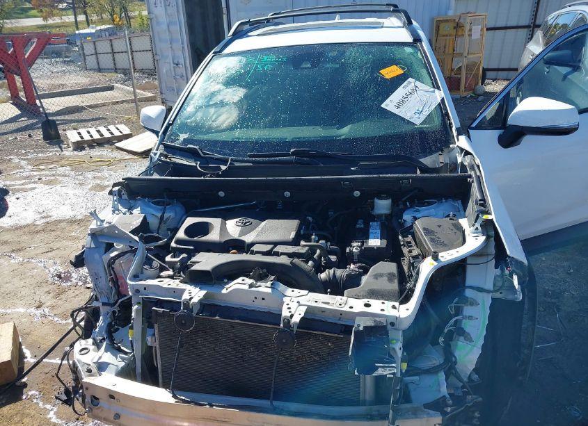 Photo 10 of 2019 Toyota Rav4 XLE (VIN 2T3P1RFV5KW024571)