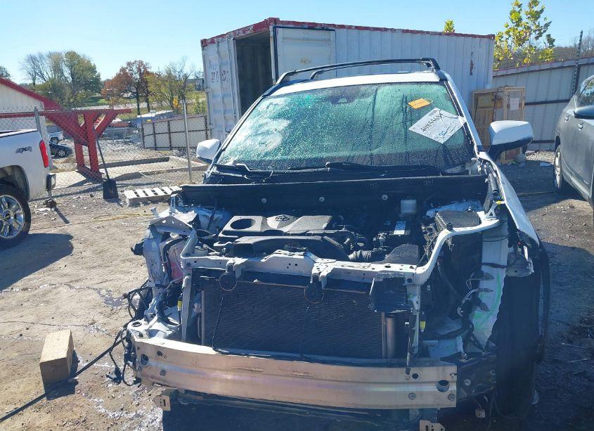 Photo 13 of 2019 Toyota Rav4 XLE (VIN 2T3P1RFV5KW024571)