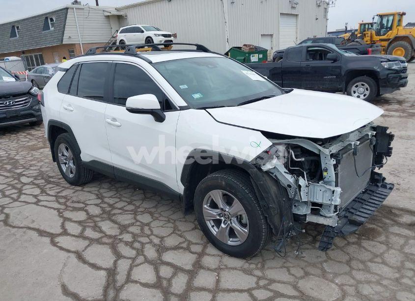 2023 Toyota Rav4 XLE (VIN 2T3P1RFV5PW350751) main photo
