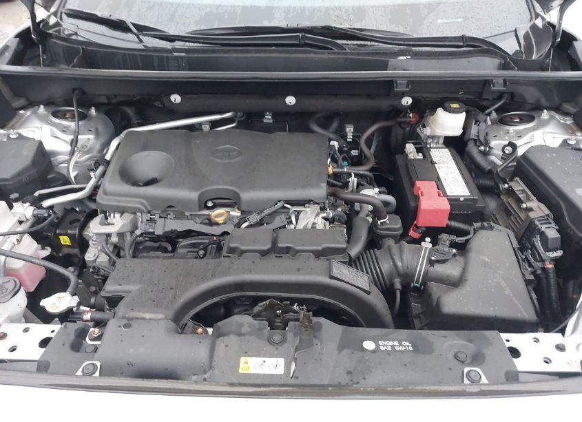 Photo 10 of 2019 Toyota Rav4 XLE (VIN 2T3P1RFV6KC058892)