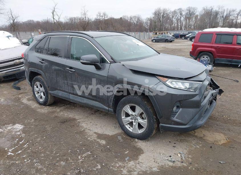 2019 Toyota Rav4 XLE (VIN 2T3P1RFV6KW034638) main photo