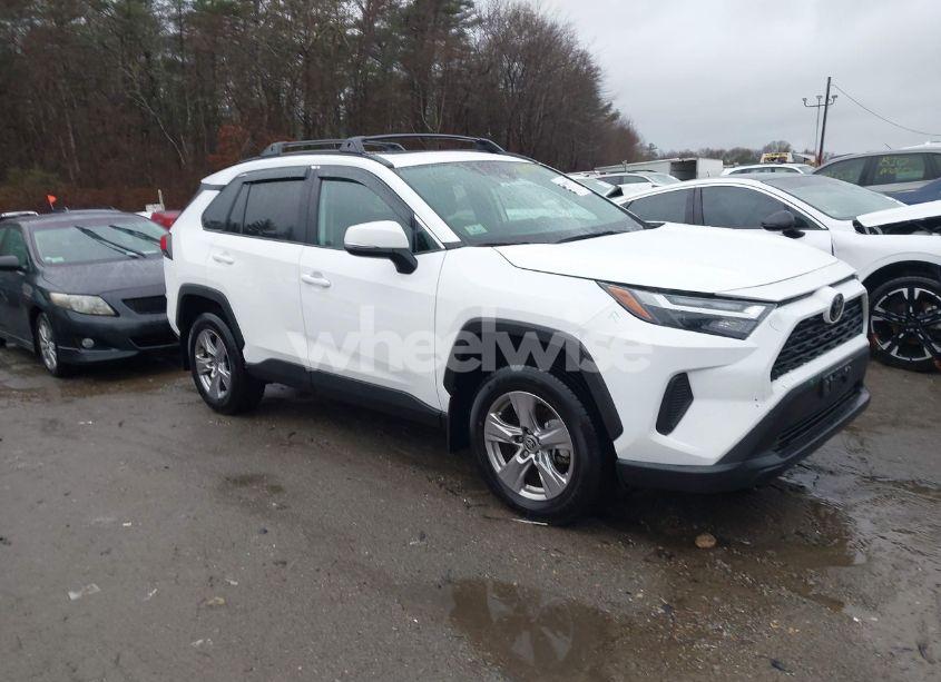 2024 Toyota Rav4 XLE (VIN 2T3P1RFV6RC436087) main photo