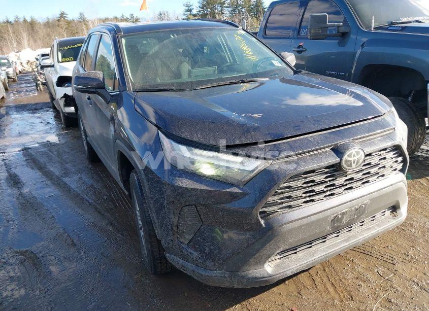 2024 Toyota Rav4 XLE (VIN 2T3P1RFV6RW455348) main photo