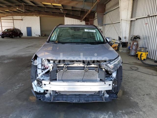 Photo 13 of 2025 TOYOTA RAV4 XLE (VIN 2T3P1RFV6SC510193)