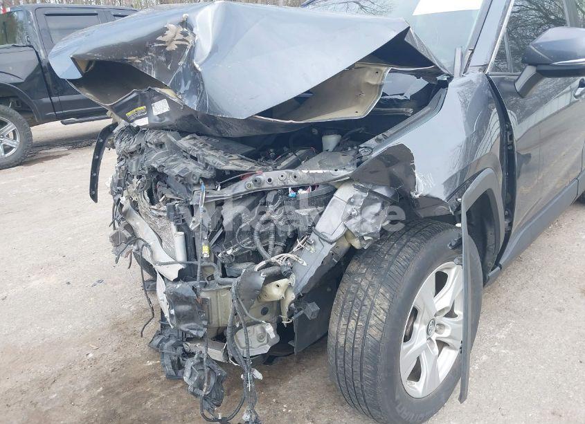 Photo 6 of 2019 Toyota Rav4 XLE (VIN 2T3P1RFV7KC007112)