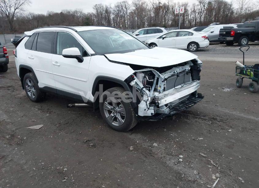 2024 Toyota Rav4 XLE (VIN 2T3P1RFV7RC460883) main photo