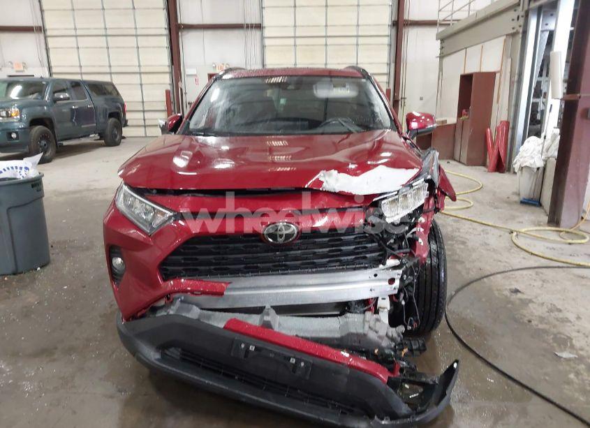 Photo 12 of 2019 Toyota Rav4 XLE (VIN 2T3P1RFV8KC004235)