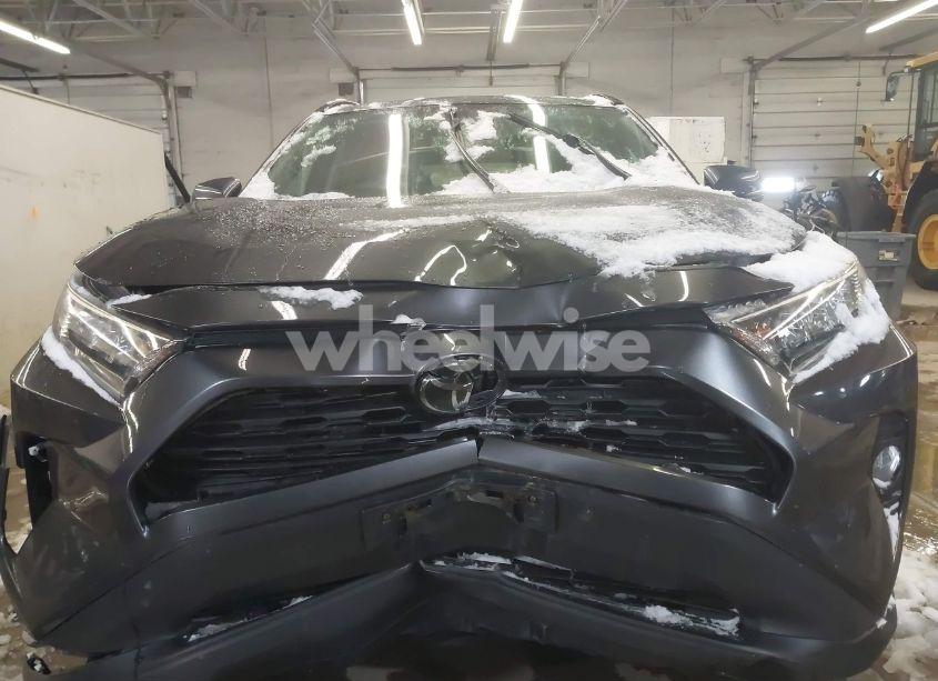 Photo 12 of 2019 Toyota Rav4 XLE (VIN 2T3P1RFV8KC006664)