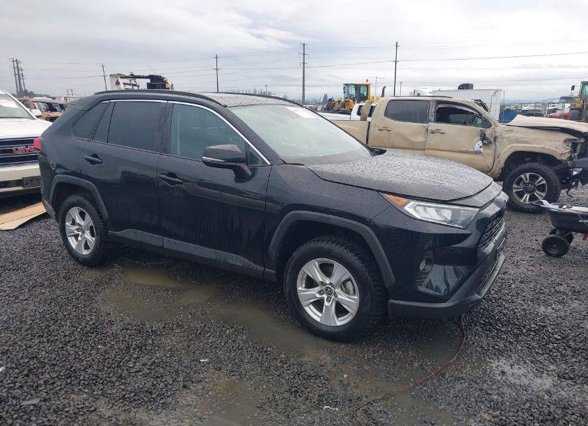 2019 Toyota Rav4 XLE (VIN 2T3P1RFV8KW033412) main photo