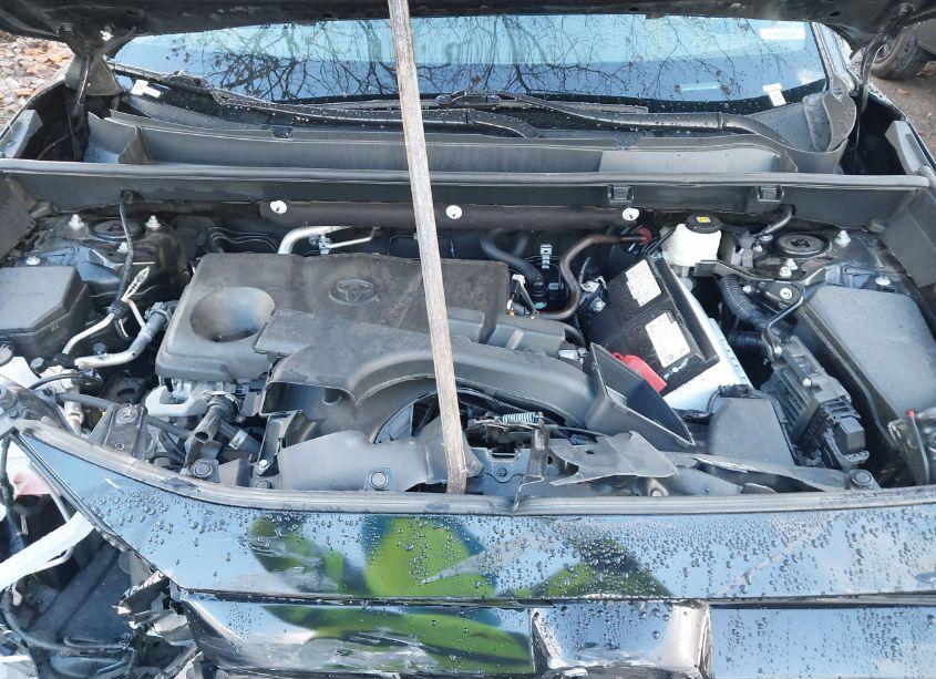 Photo 10 of 2023 Toyota Rav4 XLE (VIN 2T3P1RFV8PC356870)