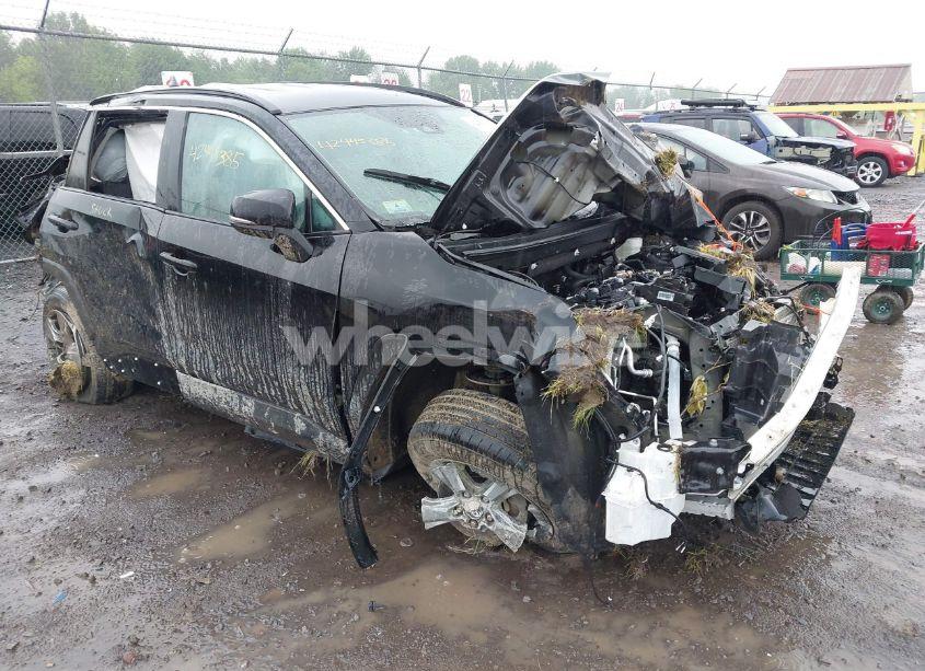 2023 Toyota Rav4 XLE (VIN 2T3P1RFV8PC373362) main photo