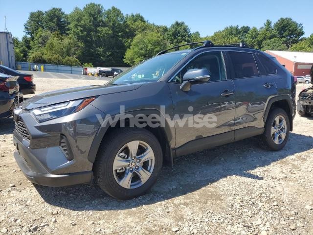 2025 TOYOTA RAV4 XLE (VIN 2T3P1RFV8SW515958) main photo