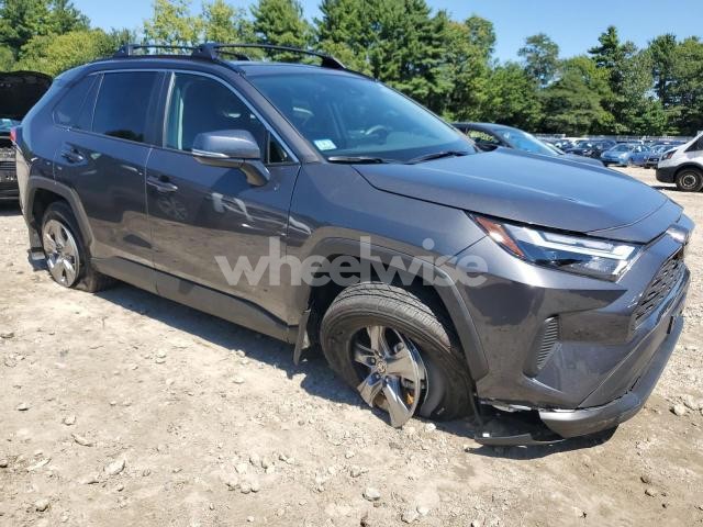Photo 13 of 2025 TOYOTA RAV4 XLE (VIN 2T3P1RFV8SW515958)
