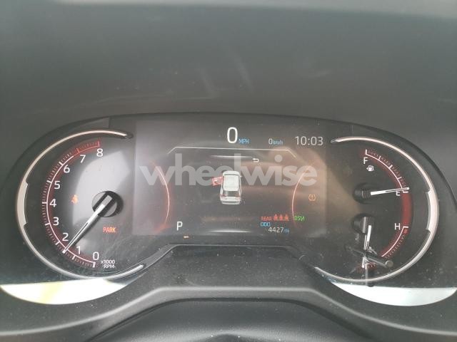 Photo 3 of 2025 TOYOTA RAV4 XLE (VIN 2T3P1RFV8SW515958)