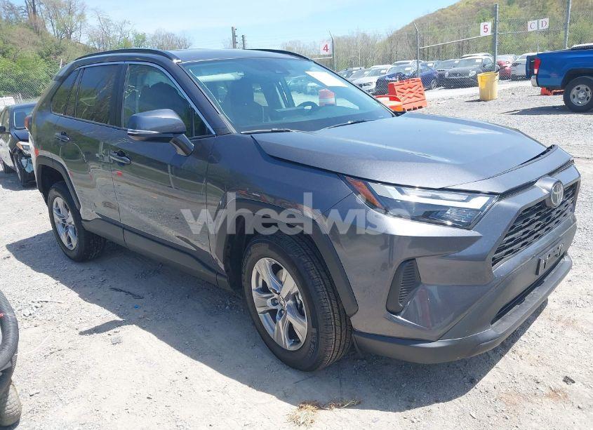 2024 Toyota Rav4 XLE (VIN 2T3P1RFV9RC434981) main photo