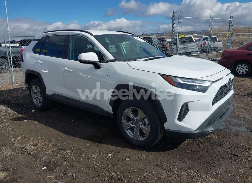 2024 Toyota Rav4 XLE (VIN 2T3P1RFV9RC447150) main photo