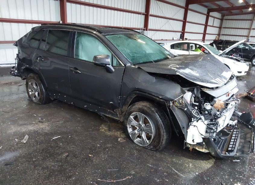 2024 Toyota Rav4 XLE (VIN 2T3P1RFV9RW420710) main photo