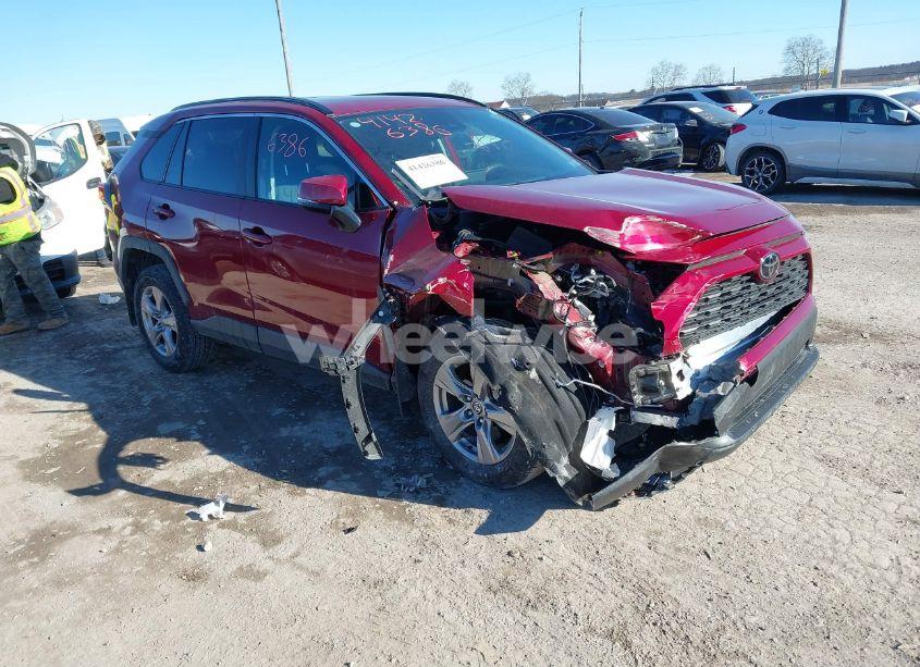 2024 Toyota Rav4 XLE (VIN 2T3P1RFV9RW446367) main photo