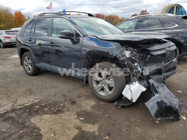 Photo 7 of 2025 TOYOTA RAV4 XLE (VIN 2T3P1RFV9SW504869)