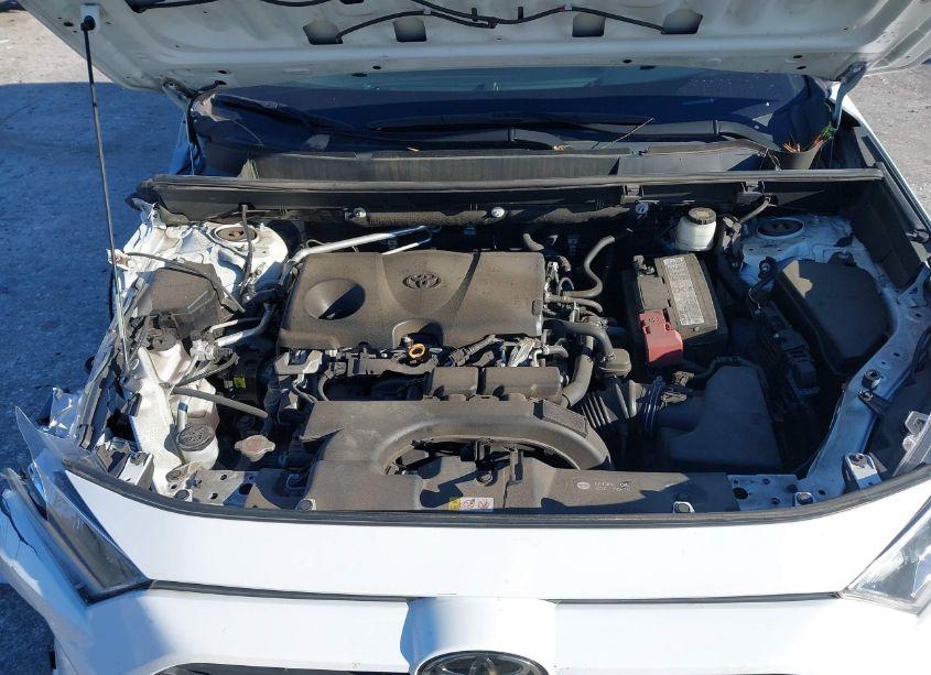 Photo 10 of 2019 Toyota Rav4 XLE (VIN 2T3P1RFVXKC039696)