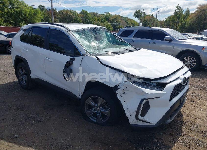 2024 Toyota Rav4 XLE (VIN 2T3P1RFVXRC396385) main photo