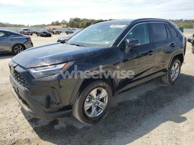 Photo 8 of 2024 TOYOTA RAV4 XLE (VIN 2T3P1RFVXRC446735)