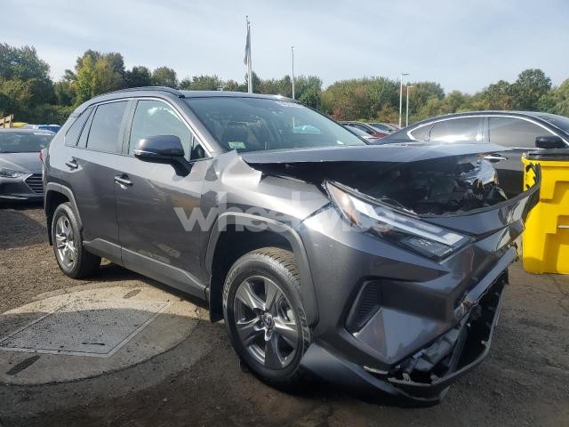Photo 13 of 2024 TOYOTA RAV4 XLE (VIN 2T3P1RFVXRC487706)