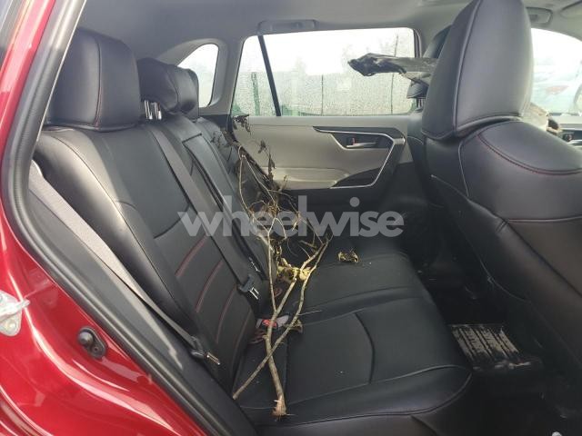 2025 TOYOTA RAV4 XLE (VIN 2T3P1RFVXSW511247) main photo