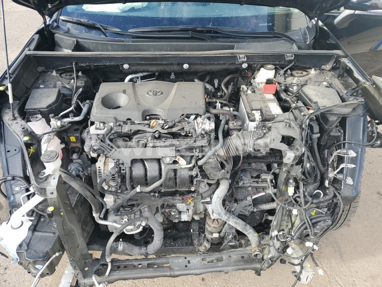 Photo 12 of 2024 TOYOTA RAV4 XLE (VIN 2T3R1RFV4RC420320)