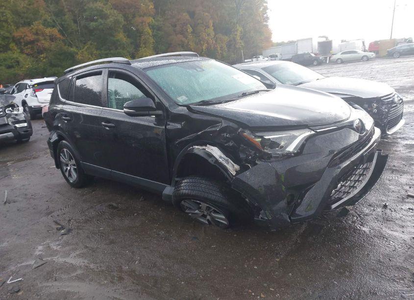 2017 Toyota Rav4 XLE (VIN 2T3RFREV1HW692422) main photo