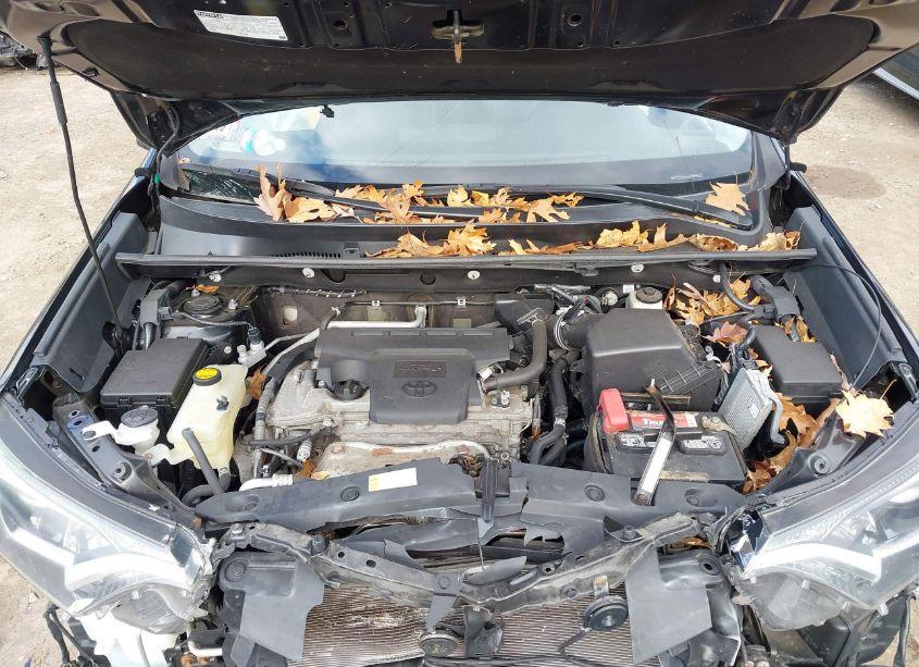 Photo 10 of 2018 Toyota Rav4 ADVENTURE/XLE (VIN 2T3RFREV1JW738515)