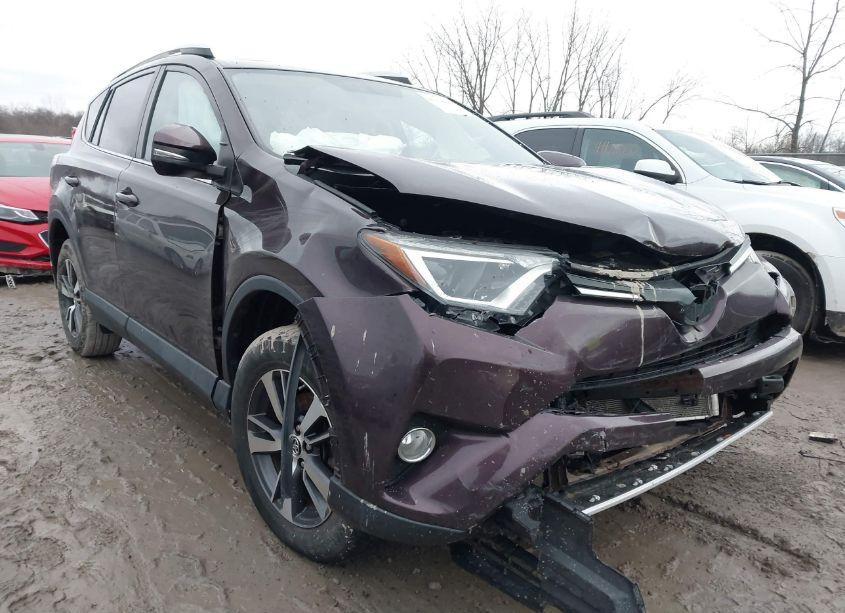 2016 Toyota Rav4 XLE (VIN 2T3RFREV2GW439561) main photo