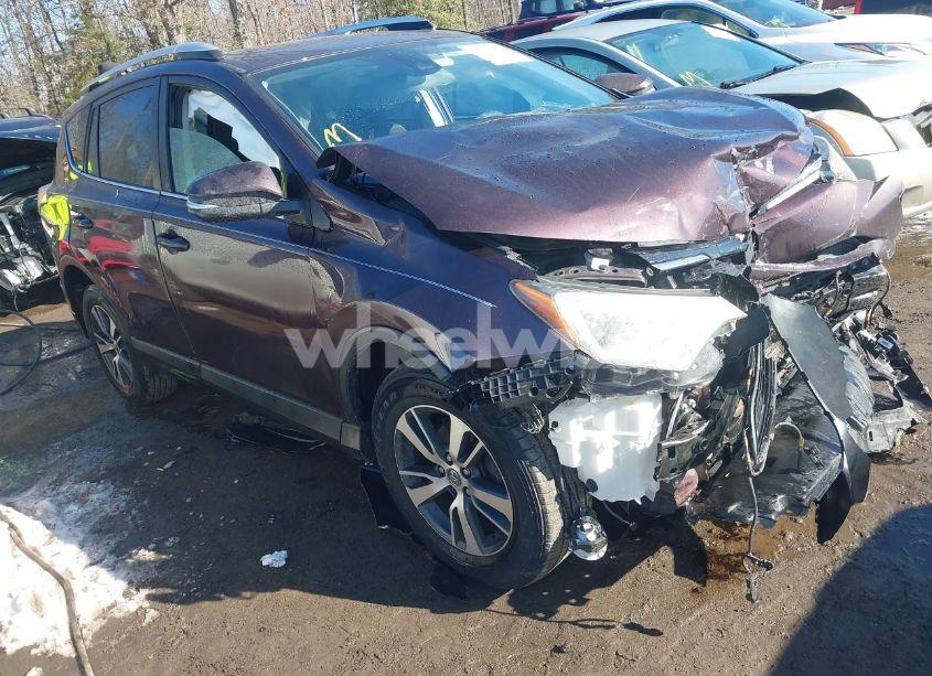 2016 Toyota Rav4 XLE (VIN 2T3RFREV2GW523265) main photo