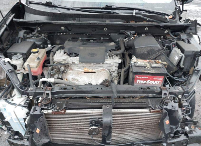 Photo 10 of 2016 Toyota Rav4 XLE (VIN 2T3RFREV3GW488025)