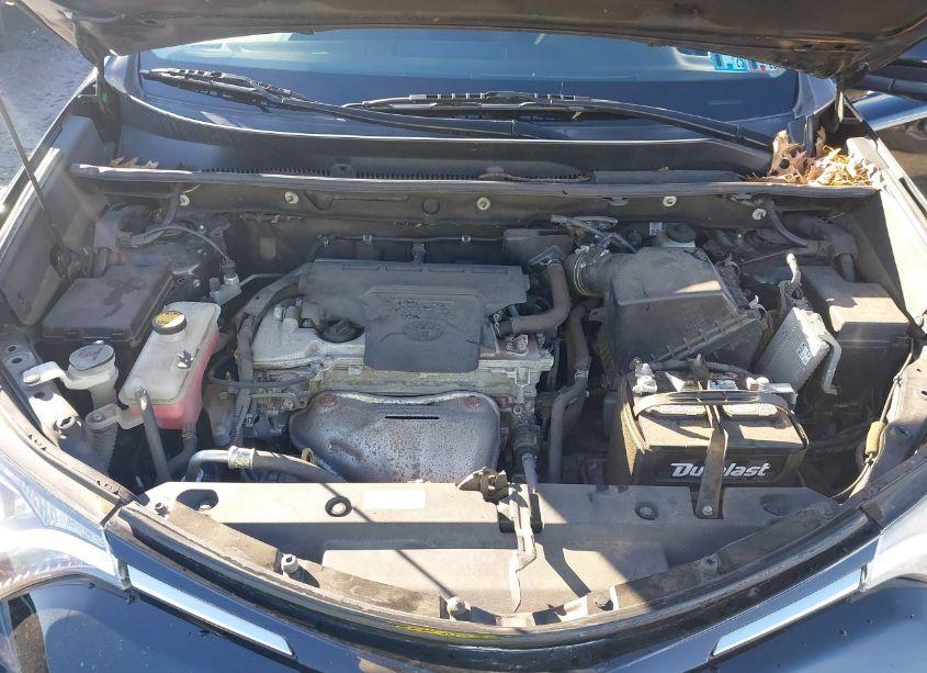 Photo 10 of 2016 Toyota Rav4 XLE (VIN 2T3RFREV3GW488378)