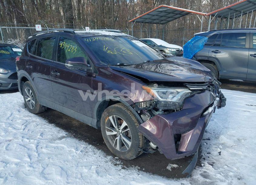 2017 Toyota Rav4 XLE (VIN 2T3RFREV3HW593455) main photo