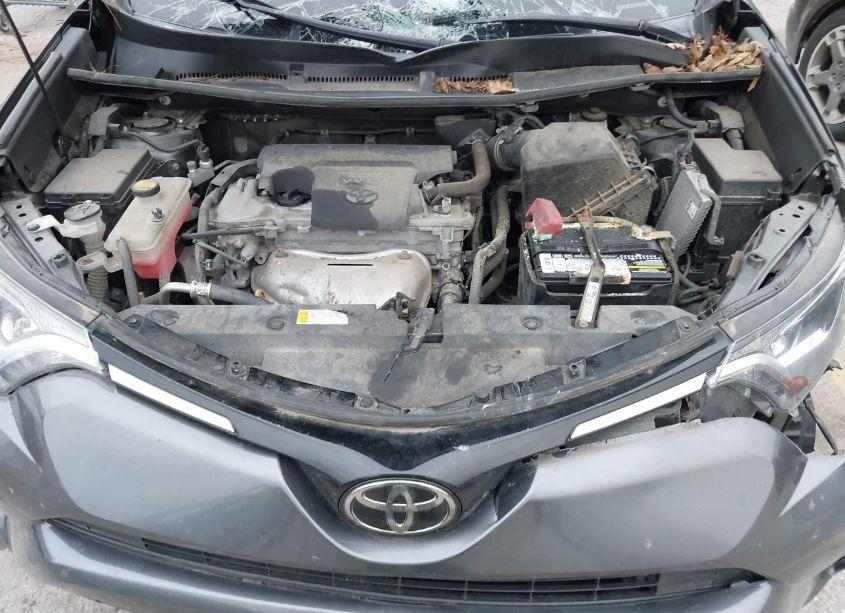 Photo 10 of 2018 Toyota Rav4 XLE (VIN 2T3RFREV3JW799798)