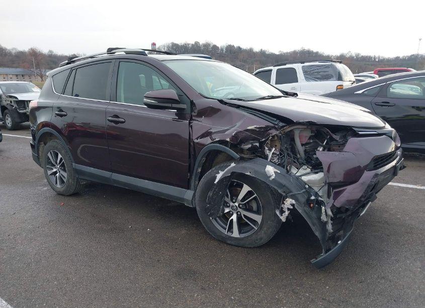 2017 Toyota Rav4 XLE (VIN 2T3RFREV6HW610233) main photo