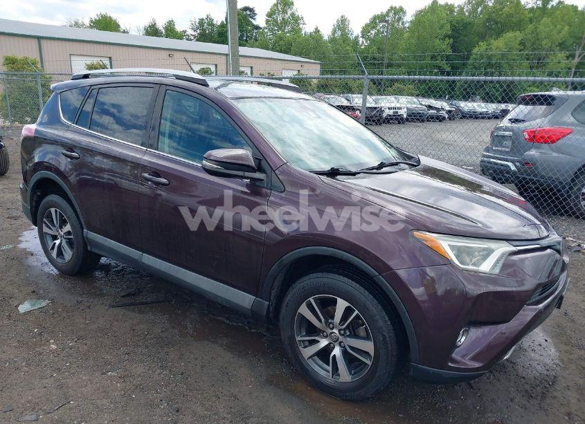 2018 Toyota Rav4 XLE (VIN 2T3RFREV7JW807823) main photo