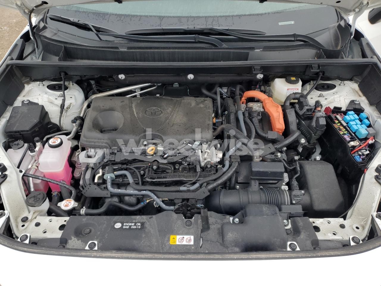 Photo 12 of 2024 TOYOTA RAV4 XLE (VIN 2T3RWRFV0RW250828)