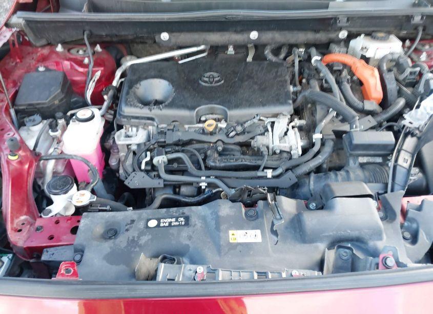 Photo 10 of 2019 Toyota Rav4 HYBRID XLE (VIN 2T3RWRFV1KW012119)