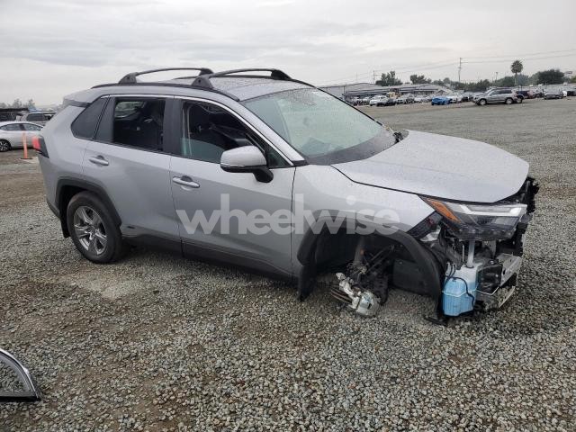 Photo 14 of 2025 TOYOTA RAV4 XLE (VIN 2T3RWRFV1SW257048)