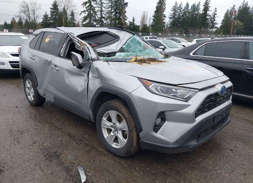 2019 Toyota Rav4 HYBRID XLE (VIN 2T3RWRFV2KW045081) main photo