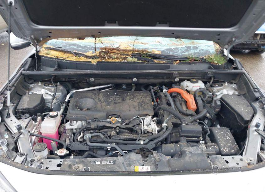 Photo 10 of 2019 Toyota Rav4 HYBRID XLE (VIN 2T3RWRFV2KW045081)