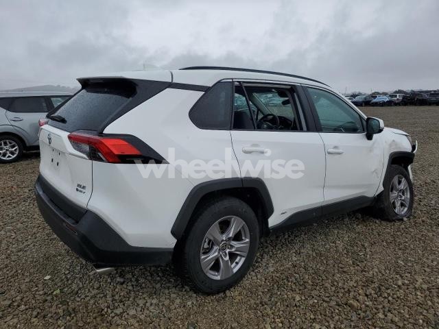 2025 TOYOTA RAV4 XLE (VIN 2T3RWRFV4SW264687) main photo